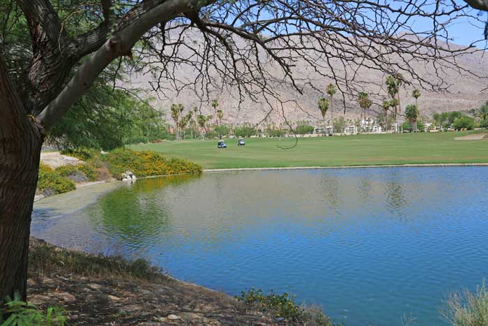 Indian Canyons Golf Course Palm Springs 700X467 2J9A0385 Palm Springs Real Estate