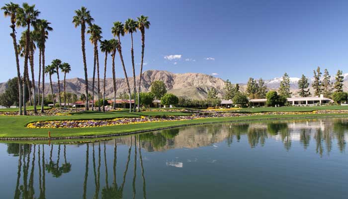 1S Palm Springs Real Estate