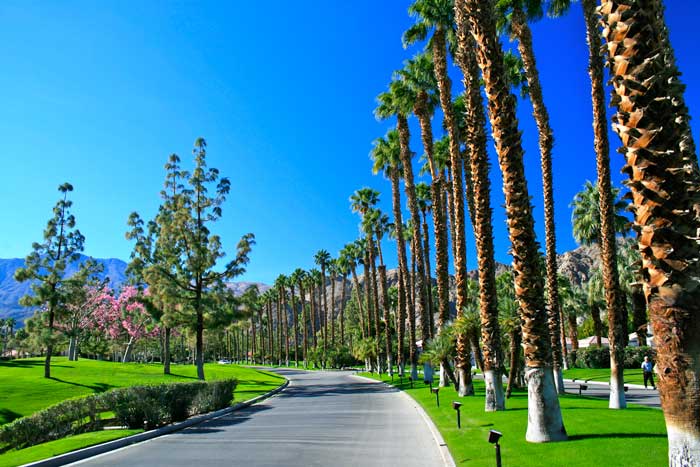 1v Palm Springs Real Estate