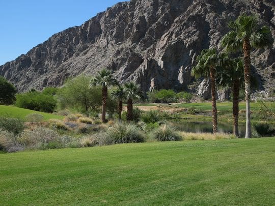 download 16 Palm Springs Real Estate
