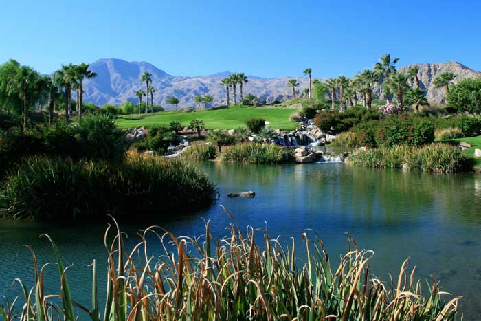 Download 3 7 Palm Springs Real Estate