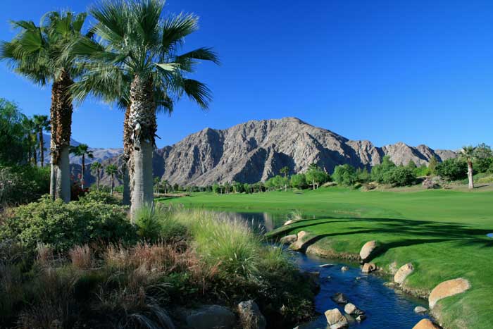 Download 63 Palm Springs Real Estate