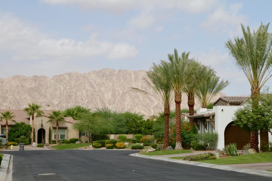 11 Palm Springs Real Estate