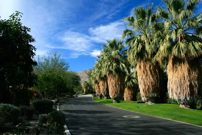 1 11 Palm Springs Real Estate