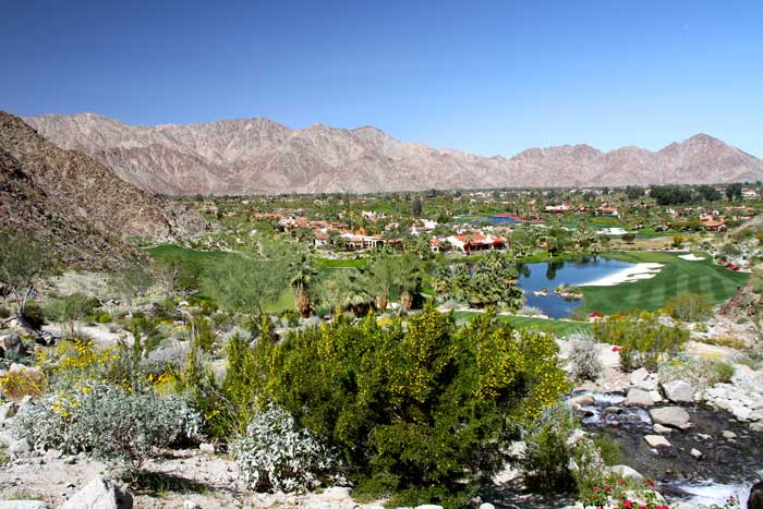 1 9 Palm Springs Real Estate