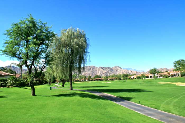 3 20 The Citrus Palm Springs Real Estate