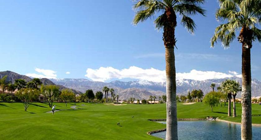 3 Palm Springs Real Estate