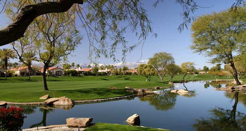 5 Palm Springs Real Estate