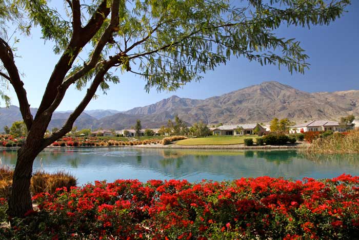 image asset 6 Palm Springs Real Estate